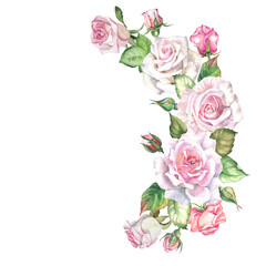 watercolor roses illustration