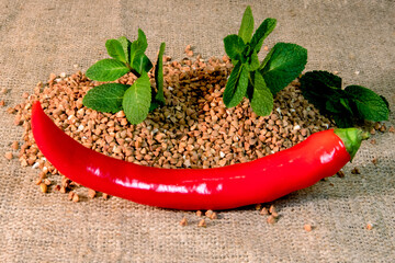 Buckwheat grains scattered on a sack cloth with stuck fresh mint sprigs and chilli pepper pod on...