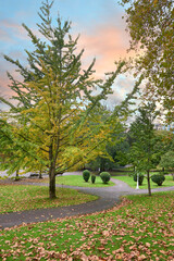 Autumn in the Doña Casilda Park, Bilbao, Biscay, Basque Country