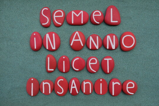 Semel in anno licet insanire, latin phrase meaning once in a year one is allowed to go crazy, composition with red colored stone letters over green sand