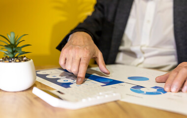 Analysing of accounting and financial documents, diagrams. Annual research and report
