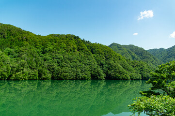 Fototapeta na wymiar 緑の森と湖面