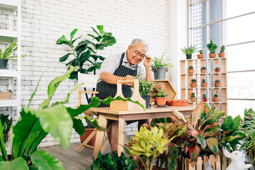 An Asian retired grandfather loves to take care of the plants in an indoor garden in the house with...