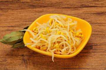 Soy sprout heap in the bowl