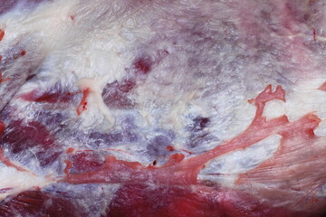 Texture of fresh lamb meat with white veins. Soft focus