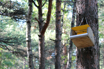 An empty birdhouse on a blurry forest background