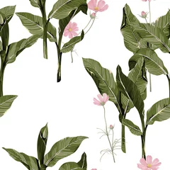 Selbstklebende Fototapeten Floral seamless pattern, pink cosmos flowers and dumbcane on white © momosama