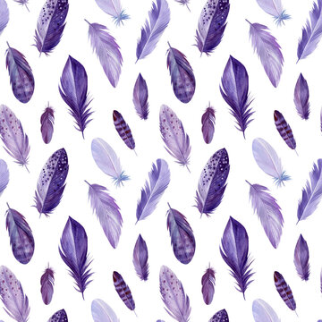 Seamless pattern bird feathers, watercolor illustration