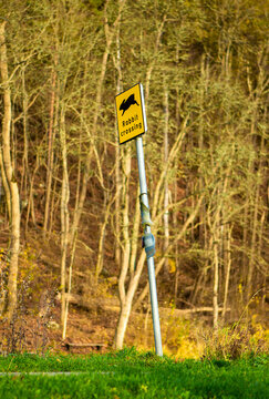 Rabbit sign