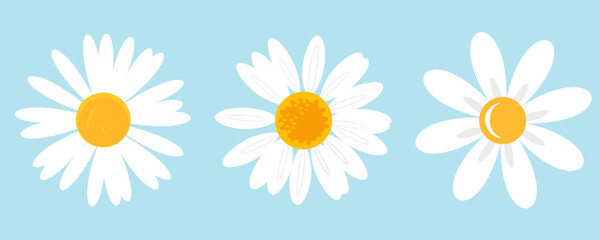 Fototapeta premium Daisy flower icons on blue background vector illustration.