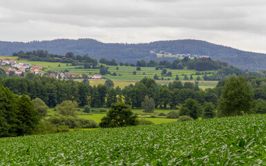Obraz premium Bavarian Forest scenery