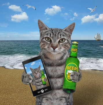 A gray cat with a bottle of beer takes selfie on the beach of the sea.