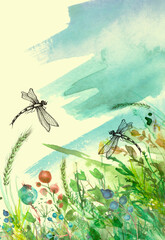 Watercolor illustration. background with  floral pattern - grass, wild plants of green color. Watercolor card, postcard, invitation. Dragonfly flies
insects, moths. Summer landscape. Beautiful splash