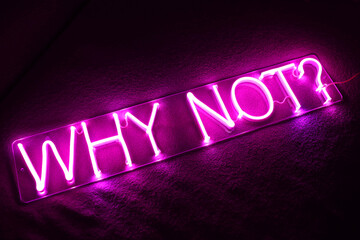 Pink neon sign why not?. Trendy style. Neon sign. Custom neon. Home decor.