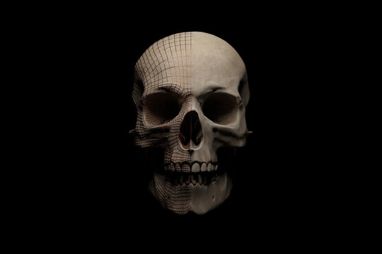 Human skull covered by a metallic wireframe on the half side. 3D rendering.
