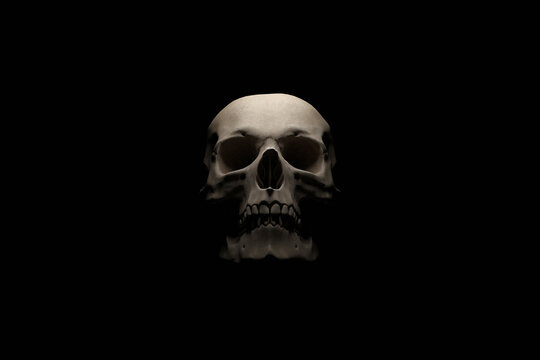 Stylized image of human skull on black background. 3D rendering.