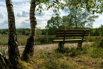 old wooden bench in the hillside landscape in the nature preservation area of the lueneburger heide