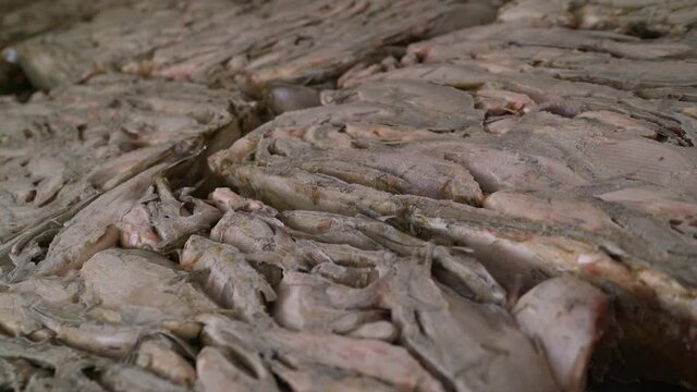 several slices of frozen fish. Frozen fish in a box.