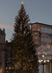 Albero di Natale 2020 a Piazza San Pietro-Roma-Italia
