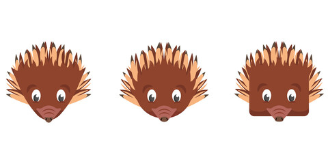 Set of cartoon echidnas. Different shapes of animal faces.
