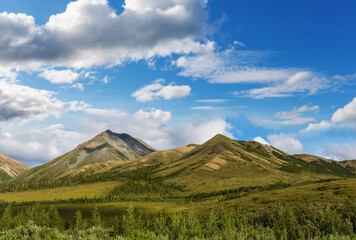 Fototapeta premium Mountains in Alaska