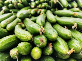 Cucumber. Fresh cucumber for salad. Cucumbers sold in the greengrocer. Green and organic cucumbers.