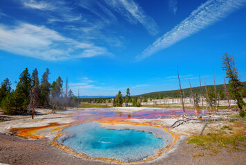 Yellowstone