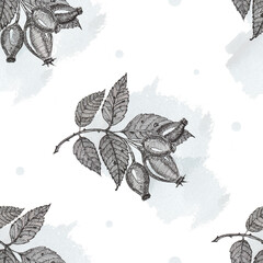 seamless pattern with ink line art dog rose