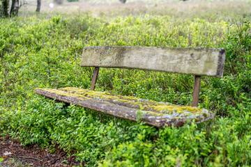 Fototapeta premium old wooden bench in the hillside landscape in the nature preservation area of the lueneburger heide