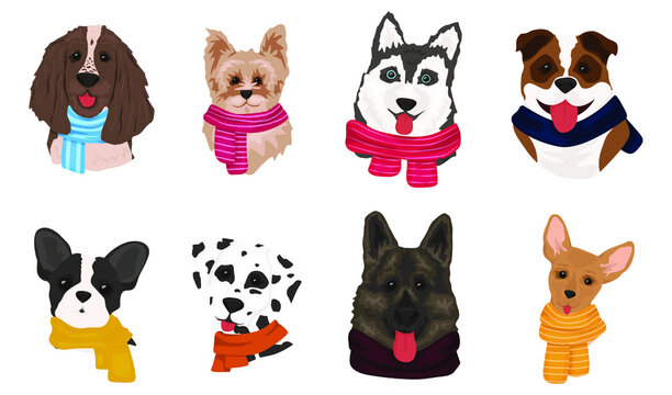 A set of dogs in knitted scarves. Cute doodle corgi in New Year and Christmas image. Collection of funny dogs of different breeds.Vector illustration