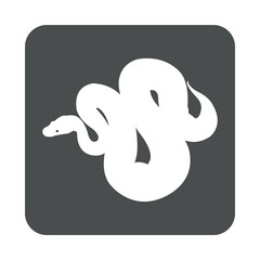 Icono silueta de serpiente pitón en cuadrado color gris