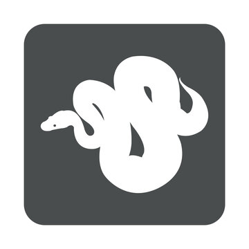 Icono silueta de serpiente pit&oacute;n en cuadrado color gris