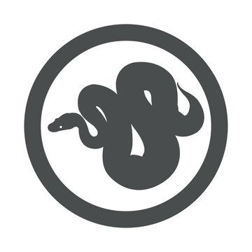 Icono silueta de serpiente pit&oacute;n en c&iacute;rculo color gris