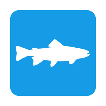 Icono silueta de trucha o salm&oacute;n en cuadrado color azul