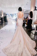 A young princess in an expensive, luxurious dress with a long train stands with her back to the...
