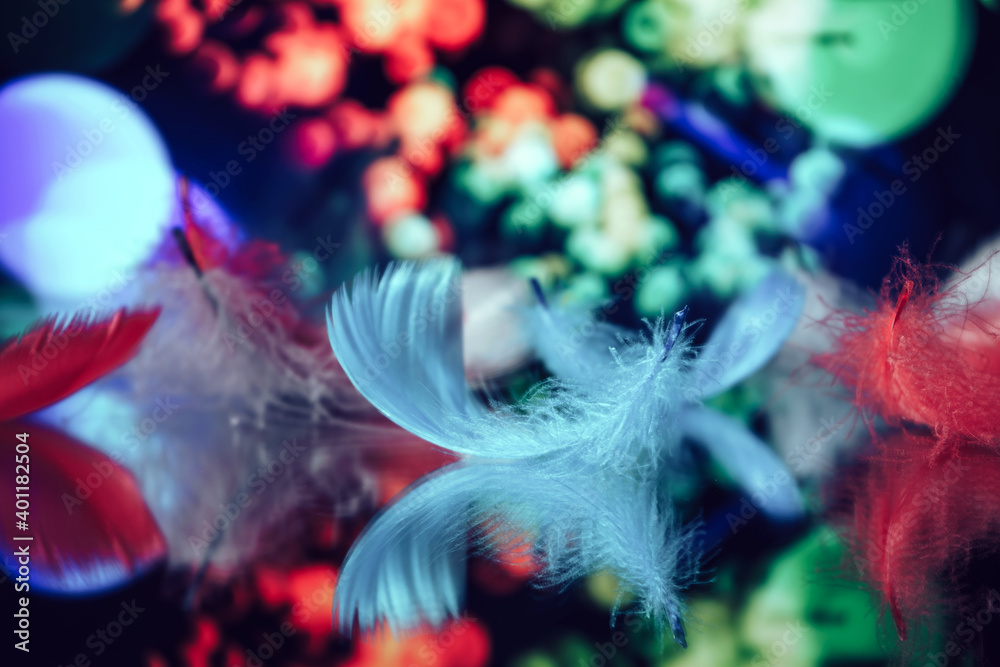 Poster Beautiful Bird feathers on a bokeh background.  Pattern background for design texture.  Macro view photography.