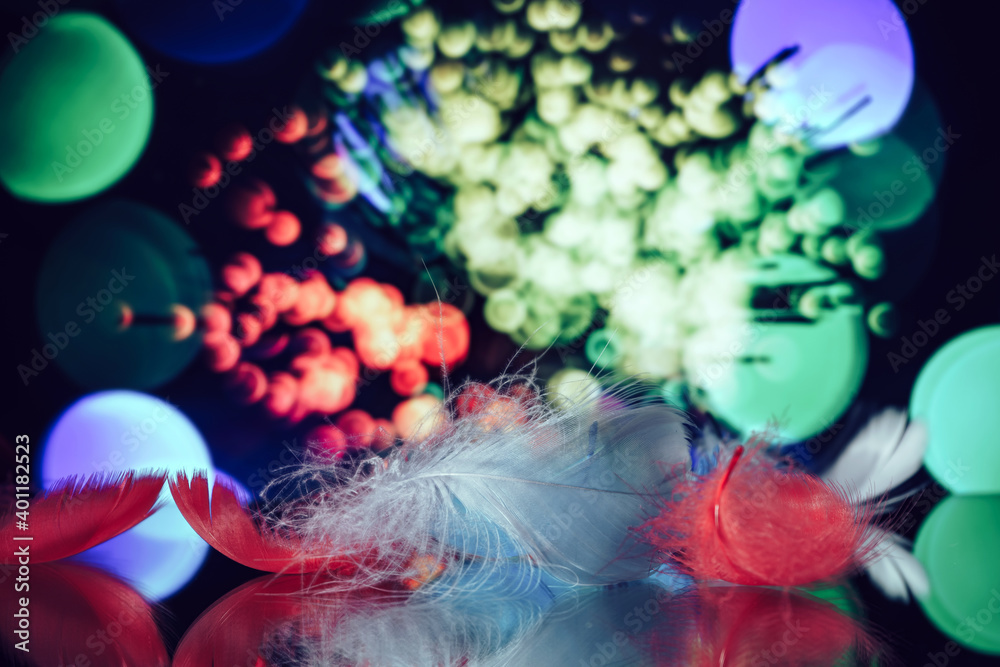 Poster Beautiful Bird feathers on a bokeh background.  Pattern background for design texture.  Macro view photography.