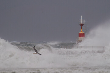 storm storm surges in the Tyrrhenian Sea