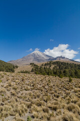 Fototapeta premium A beautiful shot of the Pico de Orizaba volcano in Mexico. Relief highest mountain and a forest