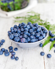 Freshly picked blueberries in a bowl