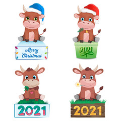 Cute illustration сhristmas set cows or bulls. Symbol of 2021. Flat cartoon vector illustration