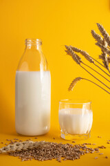 Vegetable milk from wheat in a glass bottle and Cup on a yellow background