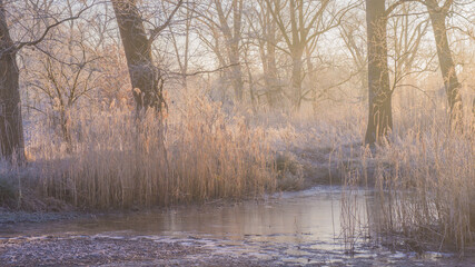 Dutch winter landscape