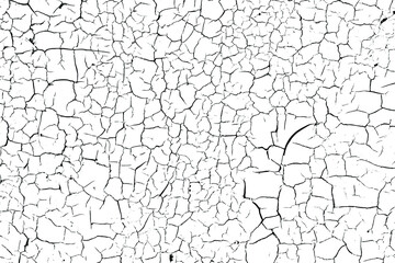 Vector black and white grunge pattern made from natural oil paint crackle. Cool texture of cracks, stains, scratches, splash, etc for print and design. Crackle paint overlay, EPS10.