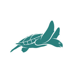 Turtle design vector illustration, Creative Turtle logo design concepts template, icon symbol