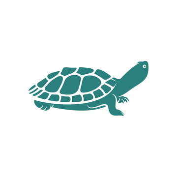 Turtle design vector illustration, Creative Turtle logo design concepts template, icon symbol