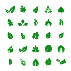 Leaf icon set isolated on white background. Collection of leaf icons for logo, poster, placard and wallpaper. Creative art concept. Leaf vector illustration