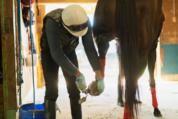 競走馬と飼育員