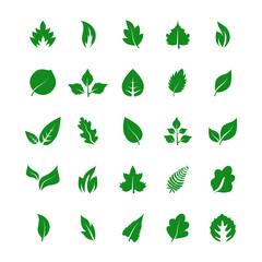 Leaf icon set isolated on white background. Collection of leaf icons for logo, poster, placard and wallpaper. Creative art concept. Leaf vector illustration