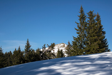 Mountain panorama at Seekarkreuz mountain in Bavaria, Germany, wintertime